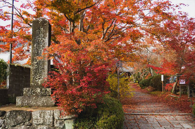 京都 常照寺の紅葉