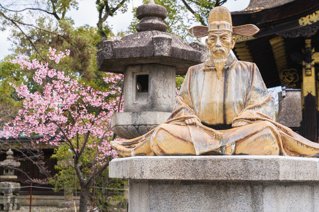 京都の桜「豊国神社」蜂須賀桜