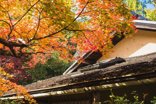 嵐山大河内山荘の紅葉