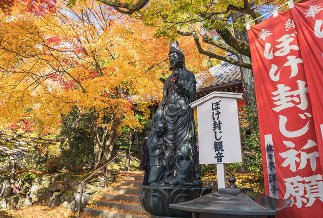 秋の今熊野観音寺のぼけ封じ観音