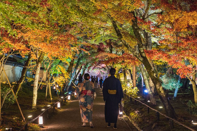 秋の嵐山宝厳院のライトアップ