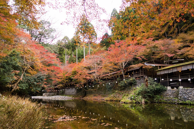 高雄 京都トレイル北山西部コース