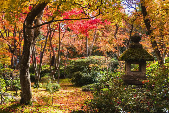 嵐山大河内山荘の紅葉