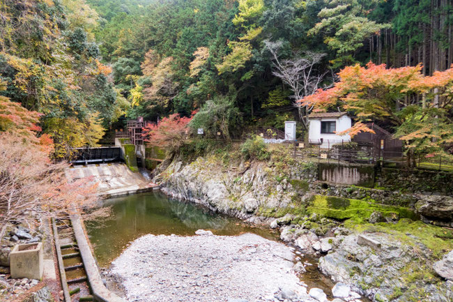 高雄紅葉 京都トレイル北山西部コース