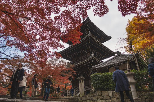 京都真如堂の三重塔と紅葉