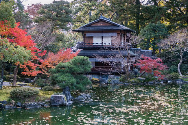 京都御苑の拾翠亭の秋の紅葉