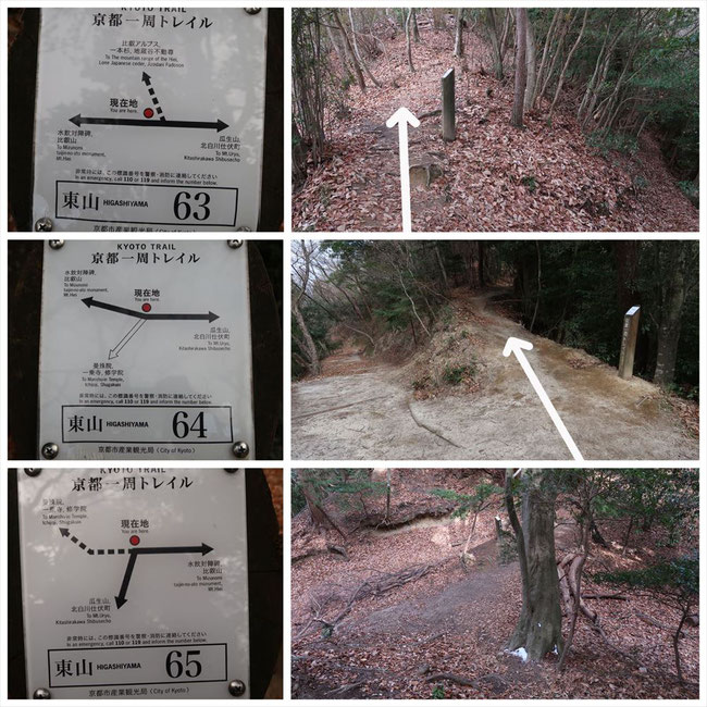 京都トレイル東山コース哲学の道→ケーブル比叡 東山64