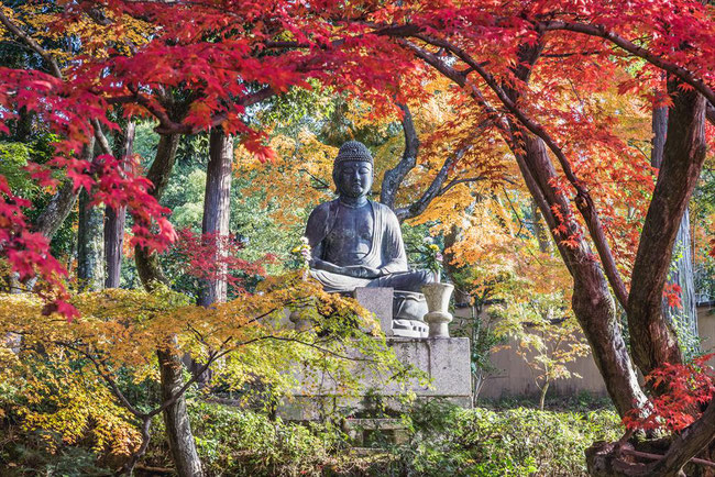 栄摂院の紅葉と釈迦座像