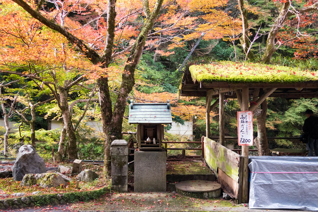 高雄・神護寺周辺紅葉