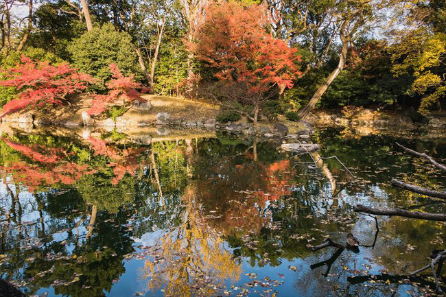 拾翠亭の池と紅葉