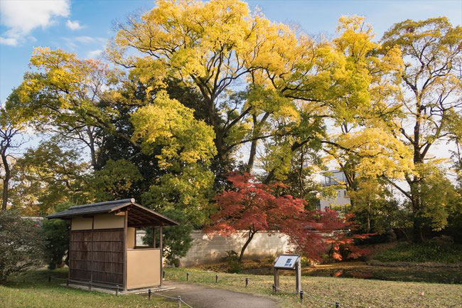 京都御苑閑院宮邸跡の紅葉