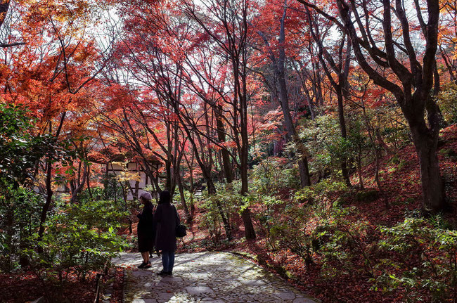 嵐山・常寂光寺の紅葉