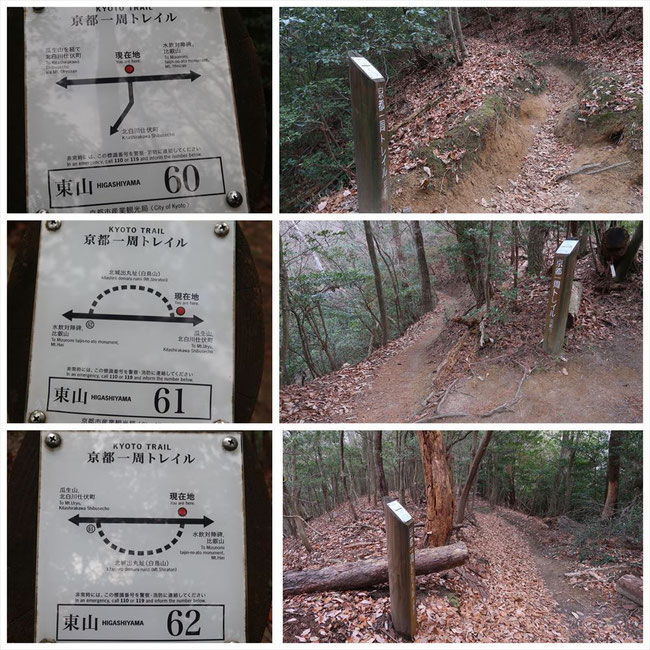 京都トレイル東山コース哲学の道→ケーブル比叡 東山60