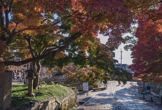 金戒光明寺の紅葉