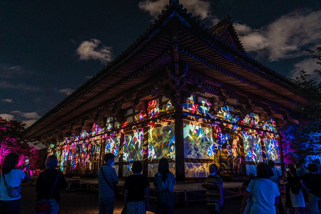 【東寺】チームラボ・光の祭インカラミ