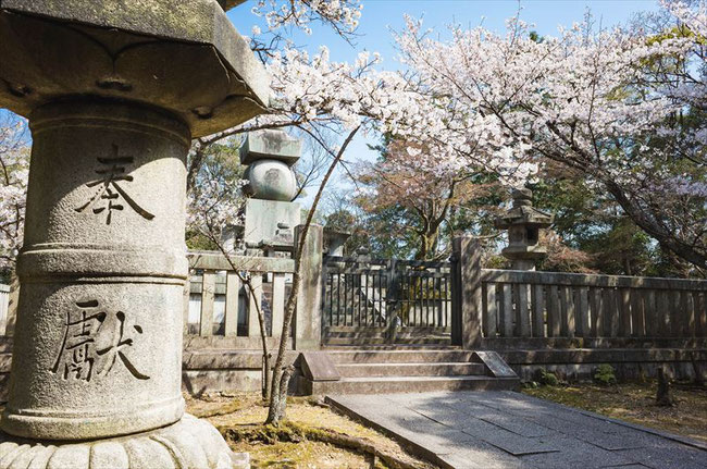 （京都桜の穴場）秀吉のお墓「豊国廟」の五輪塔と桜