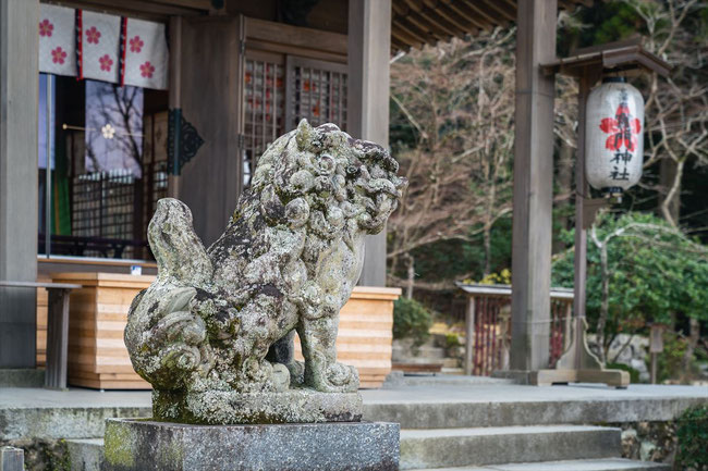 旅行記竈門神社の狛犬