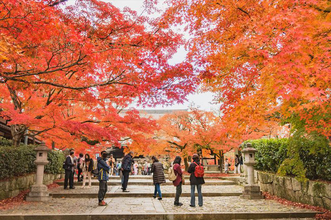 京都真如堂の紅葉