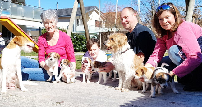Unser A-Wurf mit Papa Ibo - Familientreffen im März 2019