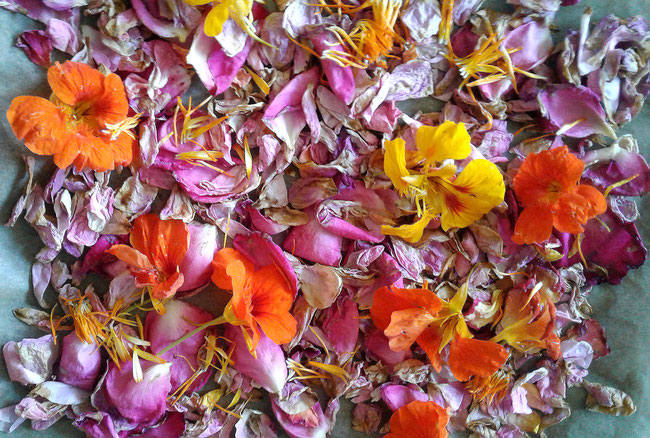 Kathrins Papier Blüten trocknen
