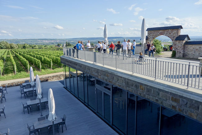 germany's best vineyards: the Steinberger
