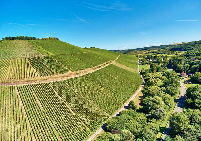 best german vineyards - the scharzhofberg