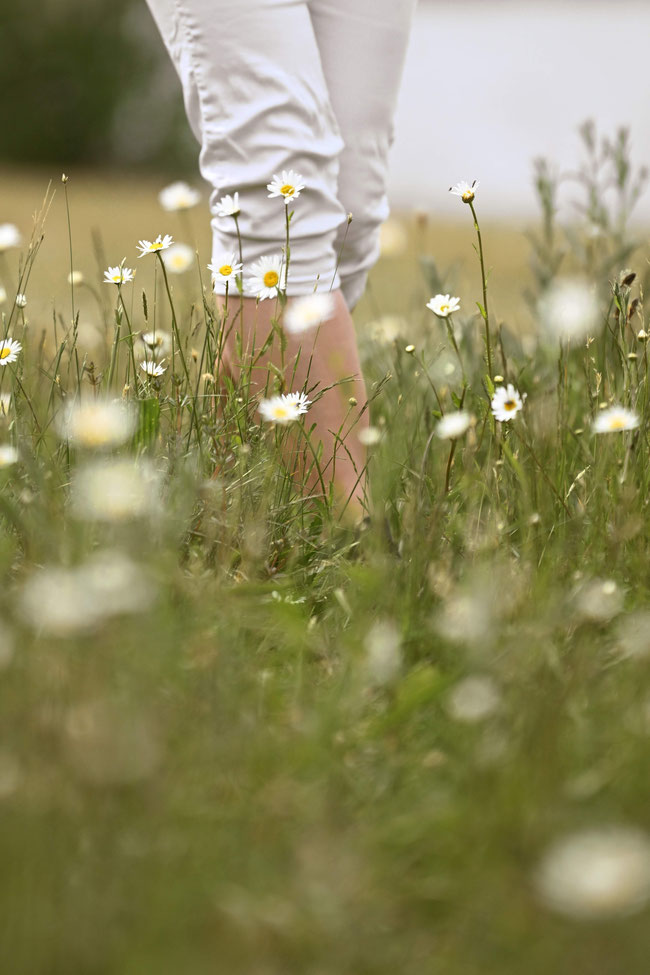Kräuterwanderung Kräutertour Kräuterspaziergang Kräuterführung Naturwanderung Kräuterworkshop Kräuter Retreat Kräuterretreat Kräuterauszeit Naturerlebnisse mit Wildkräuterexpertin Nicole von HappyHeppert