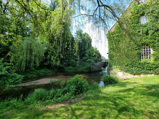 Kräuterwanderung Kräuterworkshop Kräuter Retreat Kräuterretreat Kräuter Auszeit Kräuterauszeit mit Wildkräuterexpertin Nicole von HappyHeppert