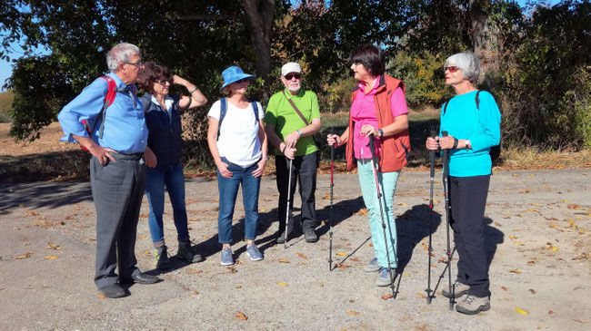 NAIS Wanderung mit OB. Foto (c) Dieter Müller