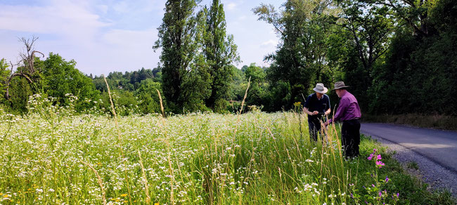 Die Bruchsaler Montagswanderer. Foto (c) Dieter Müller