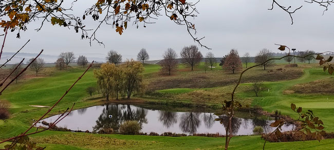 Der Bruchsaler Golfplatz, seine Teiche, seine Krähen. (c) Dieter Müller