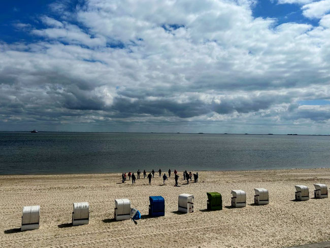 Nordseeinsel Föhr (c) TJ.