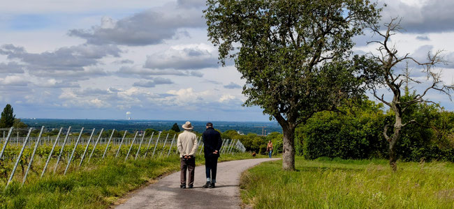 Bruchsaler Montagswanderer blicken Richtung Karlsruhe