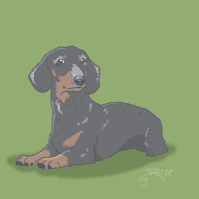 Photoshop, digital, Zeichnung, Dackel, Hund, chillen, Wochenende, gemütlich, Tier