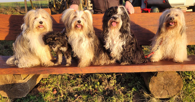 Von li. nach re.: Lakshmi, Nor-bu (ausgezogen), Han-na, Lisha und Fiona. Es fehlen die Männer Yeshi und Mihu ;-)