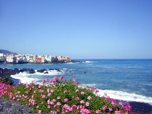 Playa Jardin / Punta Brava