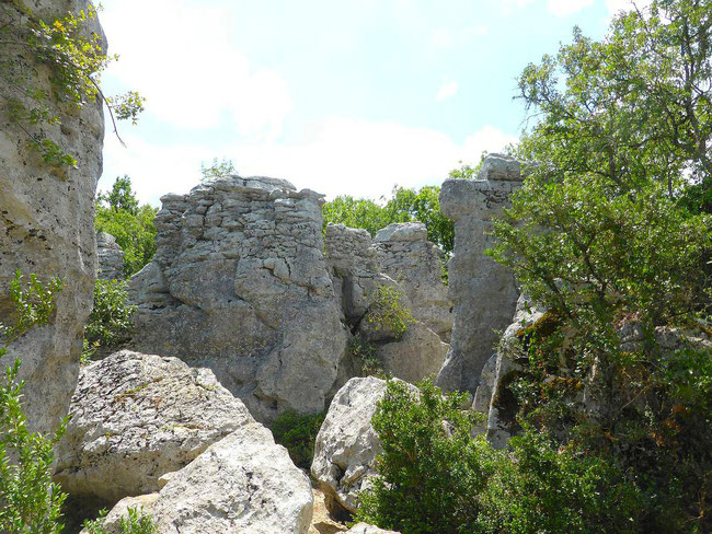 Bois de Païolive en sud Ardèche, et ses mystérieux rochers