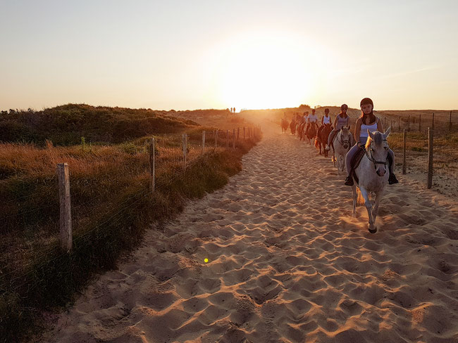 Promenade a cheval capbreton