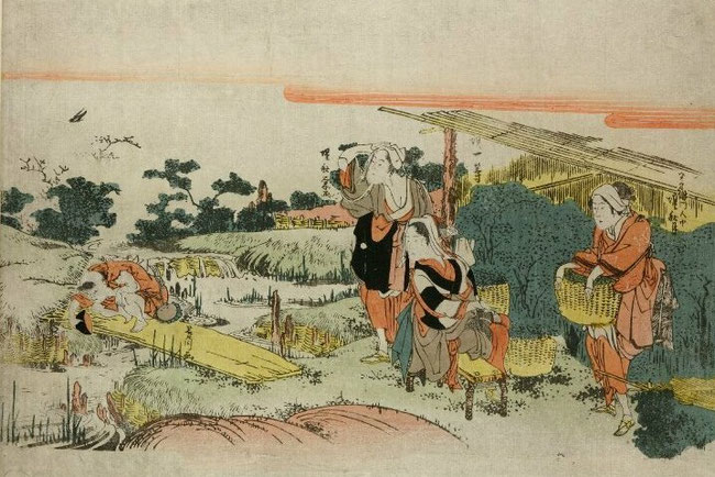 茶の本 第二章「茶の諸流」を分かりやすく要約 ～お茶の歴史～ 茶道は
