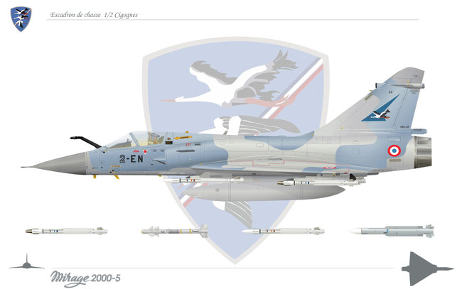 Mirage 2000-5F - EC 1/2 Cigognes