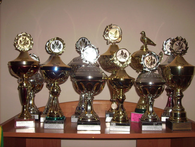 2011