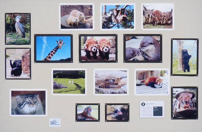 べつばら Hofu Photo Club Zoom べつばら Hofu Photo Club Zoom