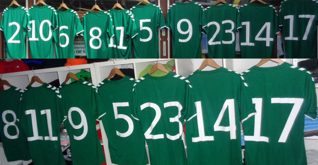 Sportshirts bedrucken für Fussballmannschaft,Sportvereine Golf, Eishocky etc