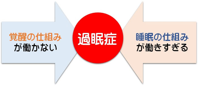 過眠症の仕組み