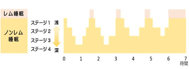レム睡眠とレム睡眠のグラフ