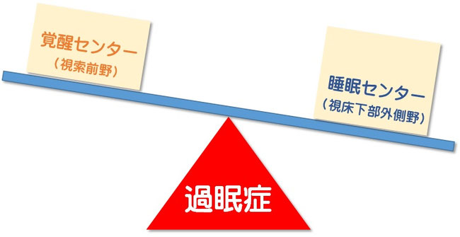 過眠症における覚醒と睡眠の関係