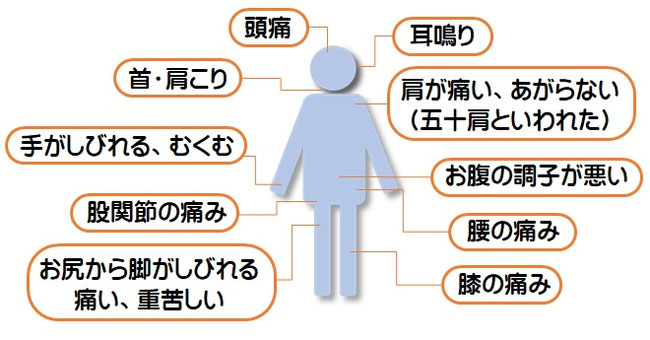 頭痛、耳鳴り、首・肩こり、しびれ、むくみ、腰痛、膝痛、股関節痛、お腹の調子が悪い