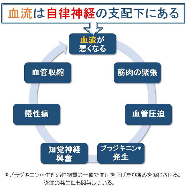 自律神経と慢性痛の関係