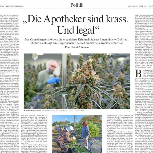 F.A.Z. Artikel Evaluierung Konsumcannabisgesetz