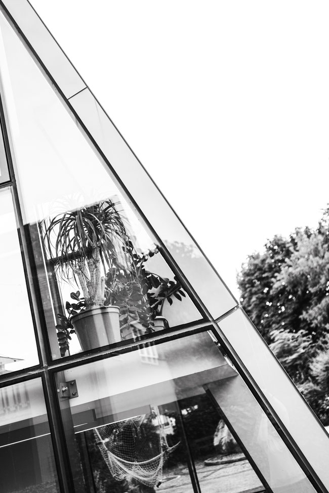 Conny - Foto 7 - Modern Architecture meets Nature